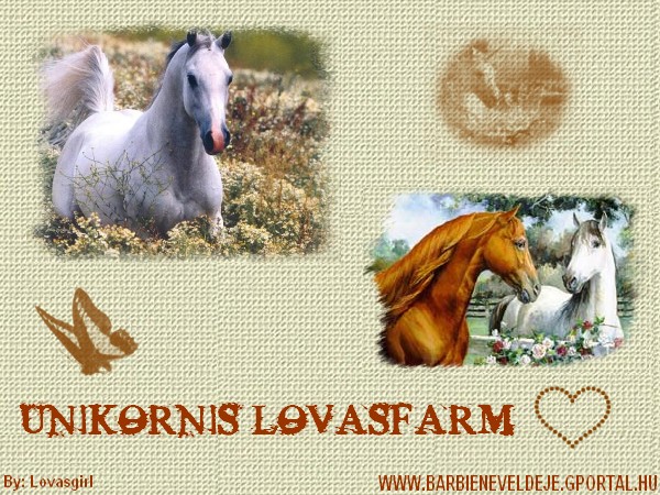 ♥Unikornis Lovasfarm♥Gyere s nevelj lovat itt!!♥